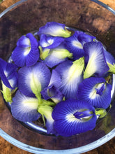 Load image into Gallery viewer, Blue Butterfly Pea