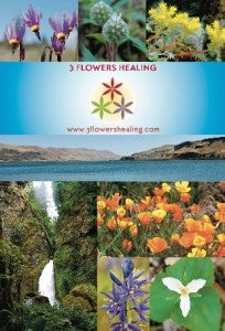 How Do Flower Essences Work?