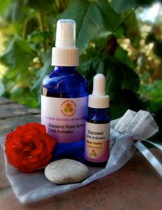 Starseed DNA Activation Kit