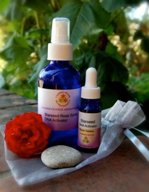 Starseed DNA Activation Kit