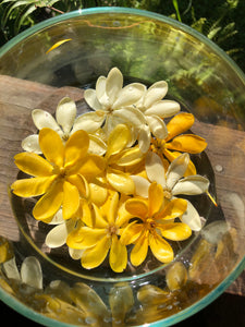 Gardenia Flower Essence